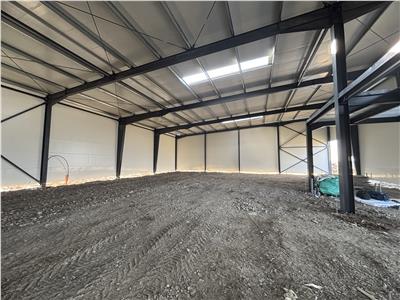 Vanzare depozit/hala/spatiu industrial Theodor Pallady - Drumul Intre Tarlale - Oxigenului