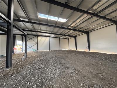 Vanzare depozit/hala/spatiu industrial Theodor Pallady - Drumul Intre Tarlale - Oxigenului