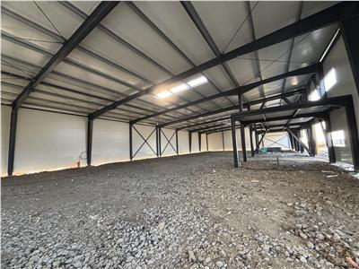 Vanzare depozit/hala/spatiu industrial Theodor Pallady - Drumul Intre Tarlale - Oxigenului