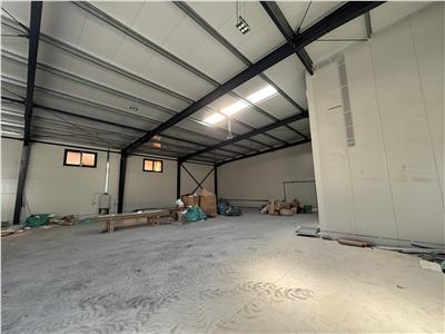 Vanzare depozit/hala/spatiu industrial Theodor Pallady - Drumul Intre Tarlale - Oxigenului
