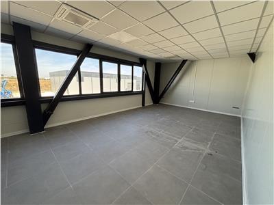 Vanzare depozit/hala/spatiu industrial Theodor Pallady - Drumul Intre Tarlale - Oxigenului