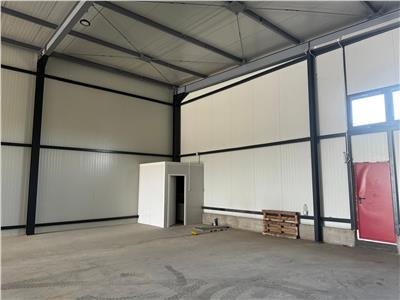depozit/hala/spatiu industrial Theodor Pallady - Drumul Intre Tarlale - gara Catelu