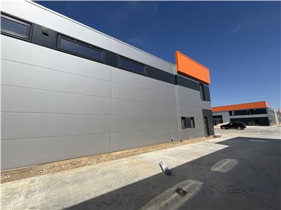 Inchiriere depozit/hala/spatiu industrial Chiajna - Centura, ILFOV