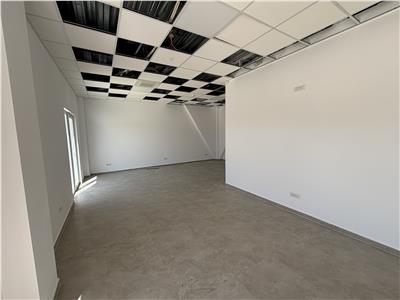 Vanzare depozit/hala/spatiu industrial Chiajna - Centura, ILFOV
