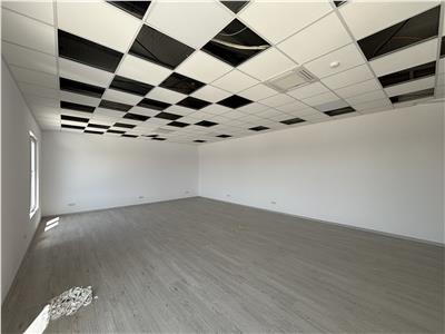 Vanzare depozit/hala/spatiu industrial Chiajna - Centura, ILFOV