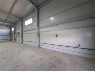 Inchiriere depozit/hala/spatiu industrial Chitila - Centura - Rudeni