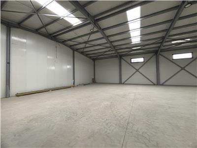 Vanzare depozit/hala/spatiu industrial Chitila - Centura, ILFOV