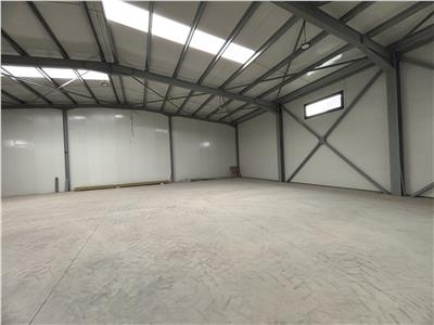 Vanzare depozit/hala/spatiu industrial Chitila - Centura, ILFOV
