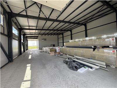 Vanzare depozit/hala/spatiu industrial Domnesti - Centura, Ilfov
