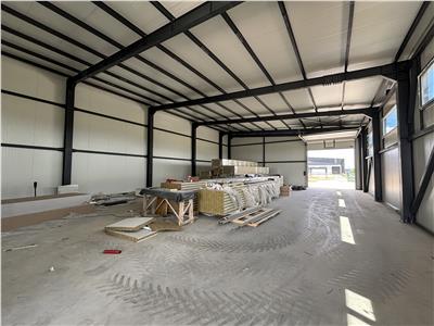 Vanzare depozit/hala/spatiu industrial Domnesti - Centura, Ilfov