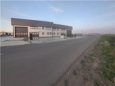 Vanzare depozit/hala/spatiu industrial Domnesti - Centura, Ilfov