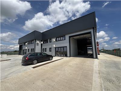 Inchiriere depozit/hala/spatiu industrial Domnesti - Centura, Ilfov