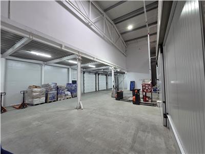 Vanzare depozit/hala/spatiu industrial Otopeni - Centura, Ilfov
