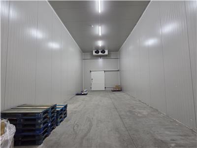 Vanzare depozit/hala/spatiu industrial Otopeni - Centura, Ilfov
