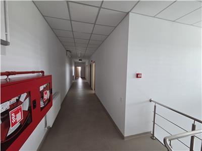 Vanzare depozit/hala/spatiu industrial Otopeni - Centura, Ilfov