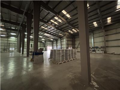 Inchiriere depozit/hala/spatiu industrial Chiajna - Ciorogarla A1 - KM13, ILFOV