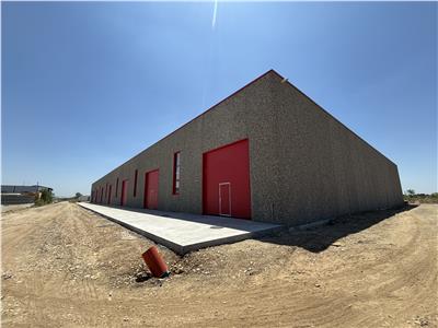 Inchiriere depozit/spatiu industrial/hala Chitila - Rudeni, ILFOV