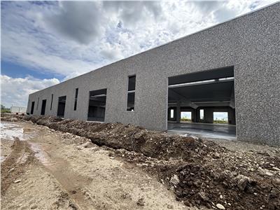 Inchiriere depozit/spatiu industrial/hala Chitila - Rudeni, ILFOV