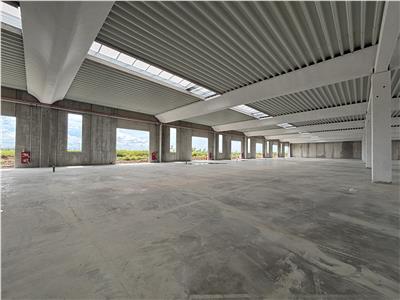 Inchiriere depozit/spatiu industrial/hala Chitila - Rudeni, ILFOV