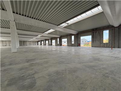 Inchiriere depozit/spatiu industrial/hala Chitila - Rudeni, ILFOV