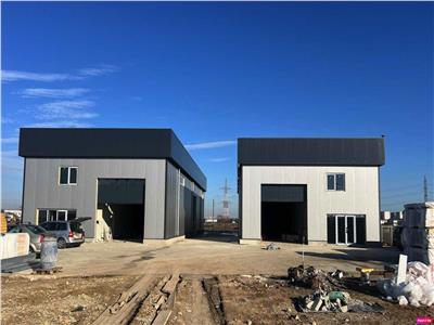 Vanzare depozit/hala/spatiu industrial Domnesti - Centura