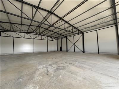 Vanzare depozit/hala/spatiu industrial Theodor Pallady - Gara Catelul