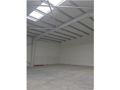 Inchiriere depozit/hala/spatiu industrial Chiajna - Chitila - Rudeni