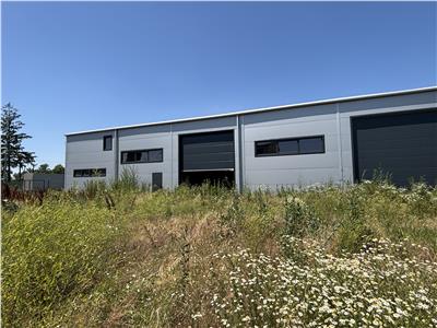 Inchiriere depozit/hala/spatiu industrial Chitila - Oxigenului, ILFOV