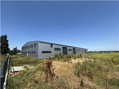 Inchiriere depozit/hala/spatiu industrial Chitila - Oxigenului, ILFOV