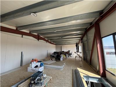 Vanzare depozit/hala/spatiu industrial Theodor Pallady - Drumul Intre Tarlale - Oxigenului