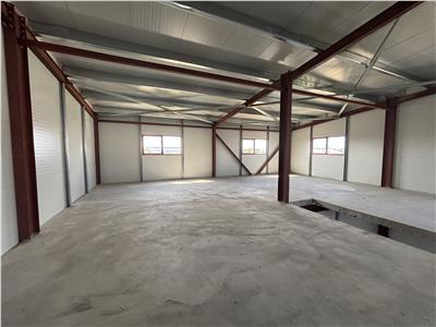 Vanzare depozit/hala/spatiu industrial Theodor Pallady - Drumul Intre Tarlale - Oxigenului