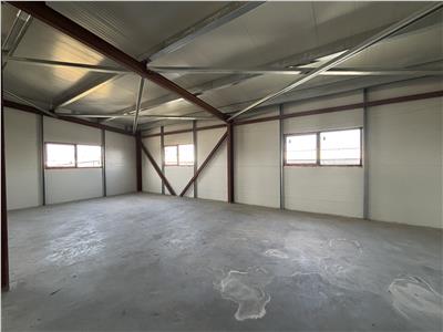 Vanzare depozit/hala/spatiu industrial Theodor Pallady - Drumul Intre Tarlale - Oxigenului