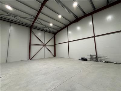 Vanzare depozit/hala/spatiu industrial Theodor Pallady - Drumul Intre Tarlale - Oxigenului