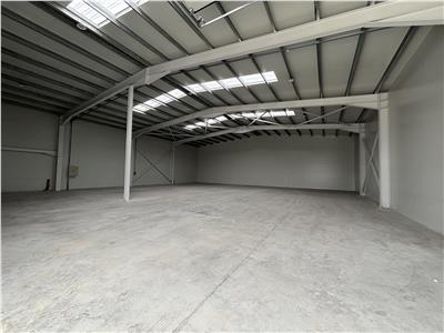 Vanzare depozit/hala/spatiu industrial Chiajna - Chitila - Rudeni