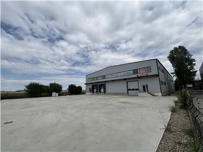 Inchiriere depozit/hala/spatiu industrial Otopeni - Centura