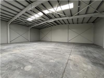 Vanzare depozit/hala/spatiu industrial Chiajna - Chitila - Rudeni