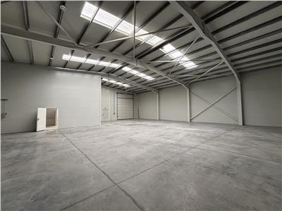 Vanzare depozit/hala/spatiu industrial Chiajna - Chitila - Rudeni