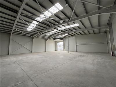 Vanzare depozit/hala/spatiu industrial Chiajna - Chitila - Rudeni