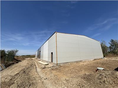 Inchiriere depozit/hala/spatiu industrial Chitila - Centura, ILFOV