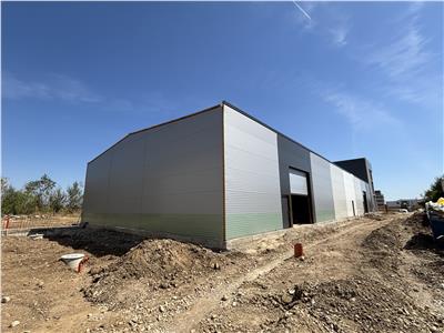 Inchiriere depozit/hala/spatiu industrial/showroom centura Chitila - Centura, ILFOV