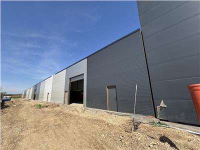 Inchiriere depozit/hala/spatiu industrial/showroom centura Chitila - Centura, ILFOV