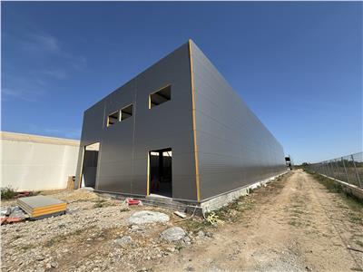 Inchiriere depozit/hala/spatiu industrial Chiajna - Centura, ILFOV