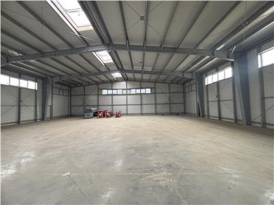 Vanzare depozit/hala/spatiu industrial Pantelimon - Centura