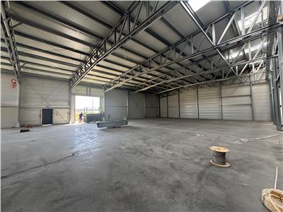 Vanzare depozit/hala/spatiu industrial Mogosoaia - Buftea