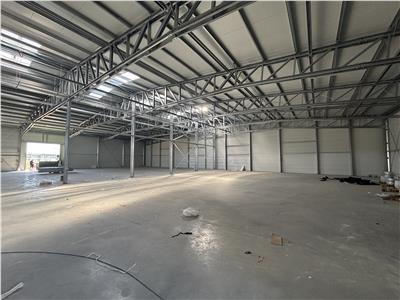 Vanzare depozit/hala/spatiu industrial Mogosoaia - Buftea