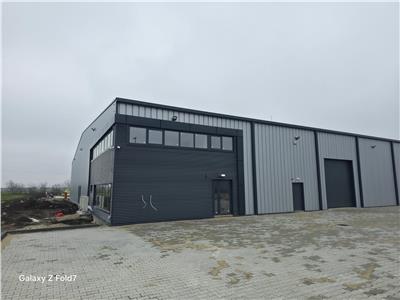 Vanzare depozit/hala/spatiu industrial Mogosoaia - Buftea