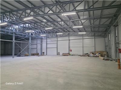 Vanzare depozit/hala/spatiu industrial Mogosoaia - Buftea