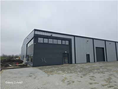 Vanzare depozit/hala/spatiu industrial Mogosoaia - Buftea