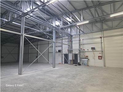 Vanzare depozit/hala/spatiu industrial Mogosoaia - Buftea