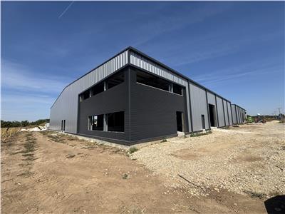 Inchiriere depozit/hala/spatiu industrial Mogosoaia - Buftea